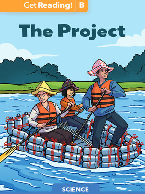 cover image of The Project